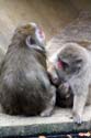 artis08 12-8-2007 16-47-11