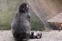 artis08 12-8-2007 16-50-13