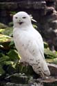 IMG_7781