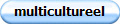 multicultureel